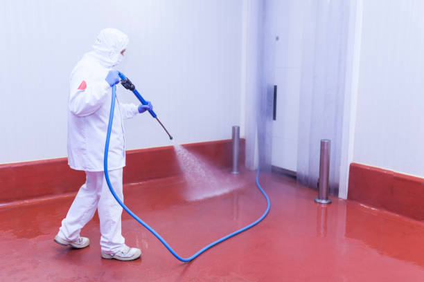 Best Roof Washing  in Mackinaw, IL